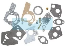 Kit Réparation Carburateur Pour Moteur Briggs & Stratton (495606)