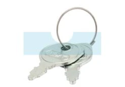 Clé De Démarrage Pour Moteur Briggs & Stratton (691959)