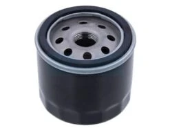 Filtre à Huile Pour Exmark (1523541)