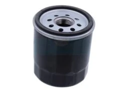 Filtre à Huile Pour Cub Cadet (4902010001)