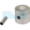 Piston Pour Moteur Kawasaki (130016002) -Pièces De Moto Bon Marché az130016002 zoo