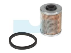 Filtre à Carburant Pour Moteur Lombardini (2175205)