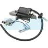 Bobine D'allumage Pour Moteur Honda (30560887T00) -Pièces De Moto Bon Marché az30560887T00 zoo