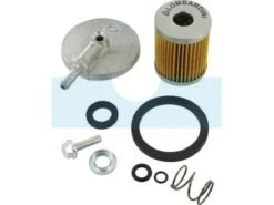 Filtre à Carburant Pour Moteur Lombardini (3730028)