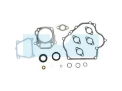 Pochette De Joint Pour Briggs & Stratton (715032)