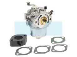 Carburateur Pour Moteur Briggs & Stratton (715572)