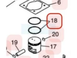 Segment Pour Moteur Zenoah (267041211)